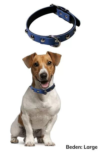 Tufeyo Soft Textured Leather Dog Walking Neck Collar (large)