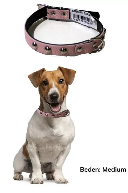 Tufeyo Soft Textured Leather Dog Walking Neck Collar Medium