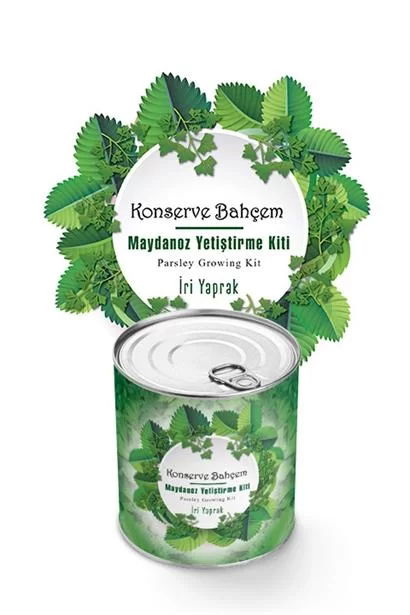 Tufeyo My Canned Garden Home Canned Large Parsley Growing Kit