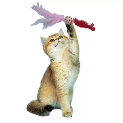 Tufeyo Furry Tassel Cat Toy Attractive Colorful Cute Pet Toy