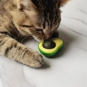 Tufeyo Avocado Model Adhesive Cat Toy Edible Catnip Herb