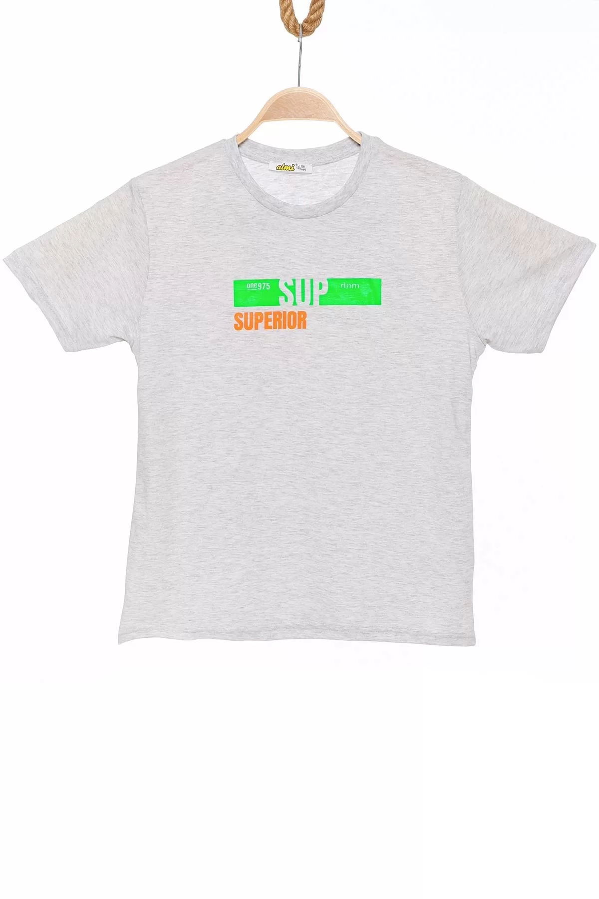 13-16 Years Printed Kids T-Shirt Gray - 424304.1576.