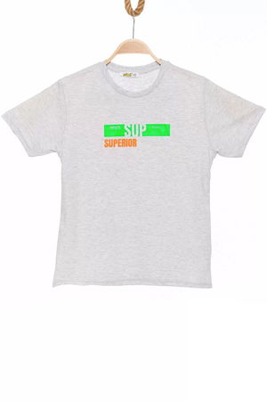 13-16 Years Printed Kids T-Shirt Gray - 424304.1576.