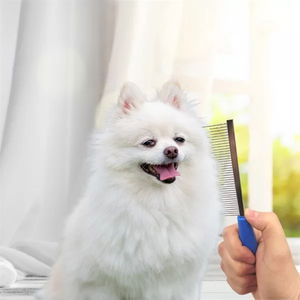 Tufeyo Hair Remover Cat Dog Comb Single Sided Metal Toothed Pet Grooming Brush