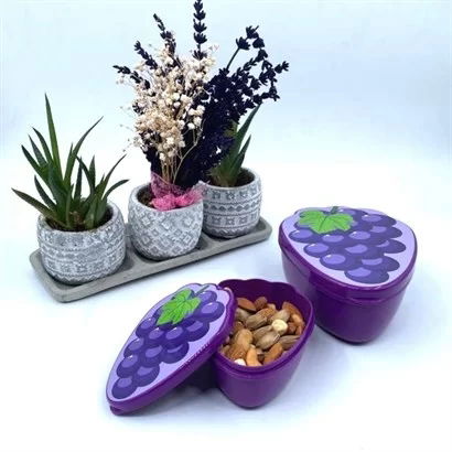 Tufeyo 2-Piece Nesting Grape Model Storage and Nutrition Container Set (550 Ml + 250 Ml)