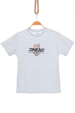 13-16 Years Printed Kids T-Shirt Gray - 424269.1576.