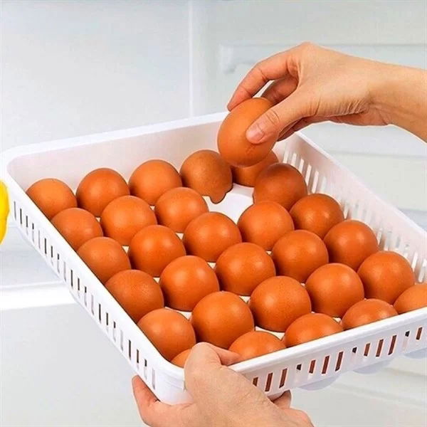 Tufeyo 15 egg storage container