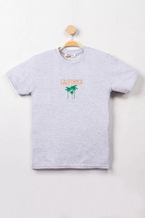 8-12 Years Boys T-Shirt Gray - 324151.1576.