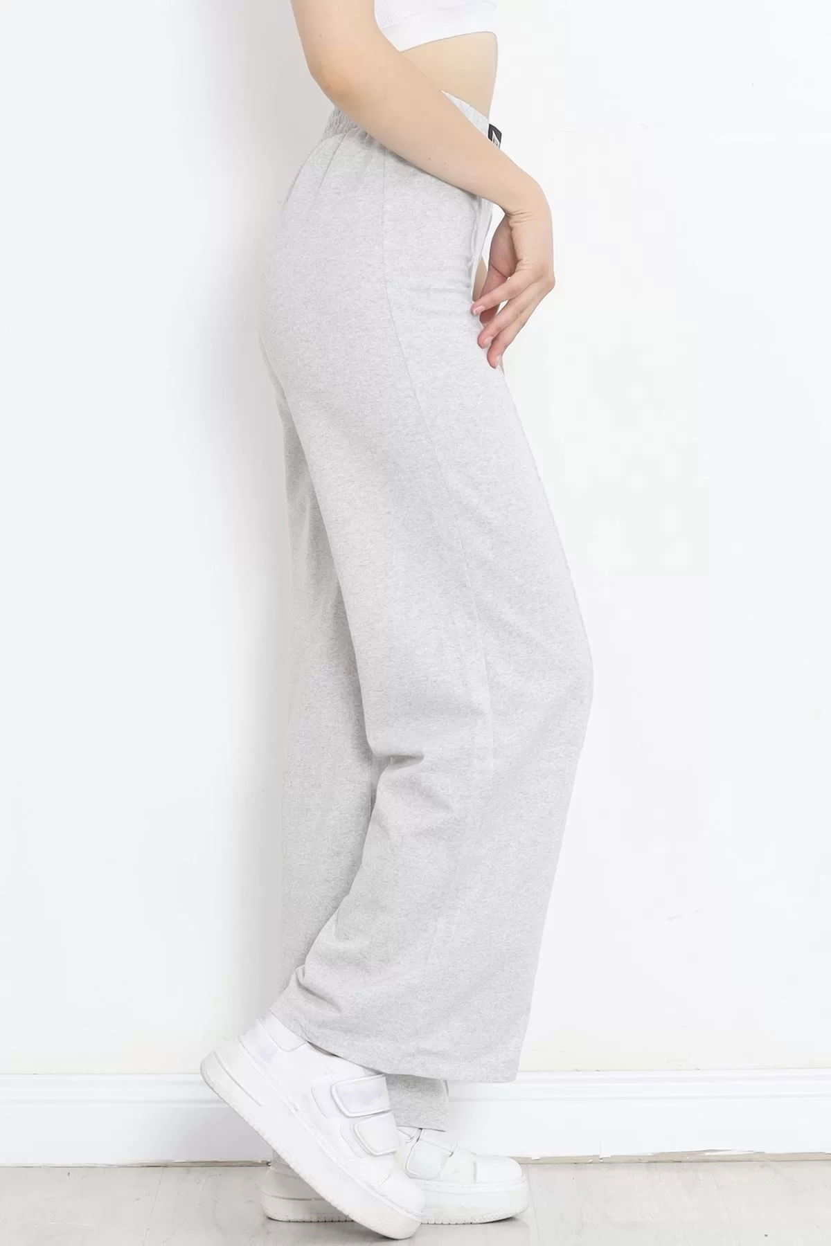 Tracksuit pants with crest in gray - 16688.1005.