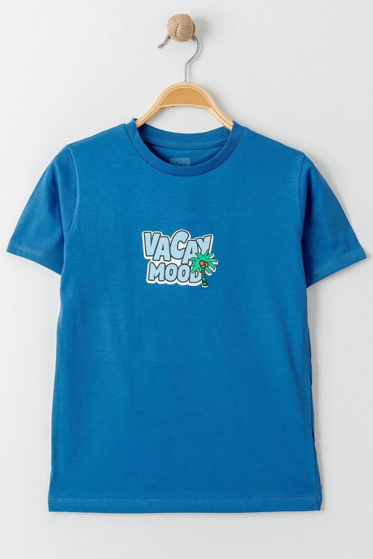 3-7 Years Printed Men's T-Shirt Indigo - 224239.1576.