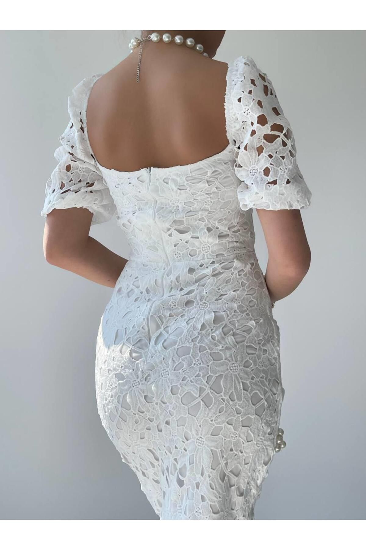 Design Lace Midi Dress