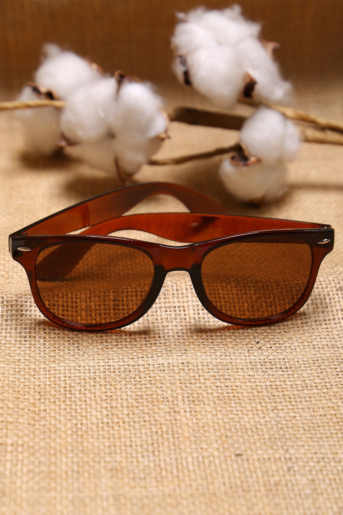 Accessories Eyewear Coffee - 16623.1356.