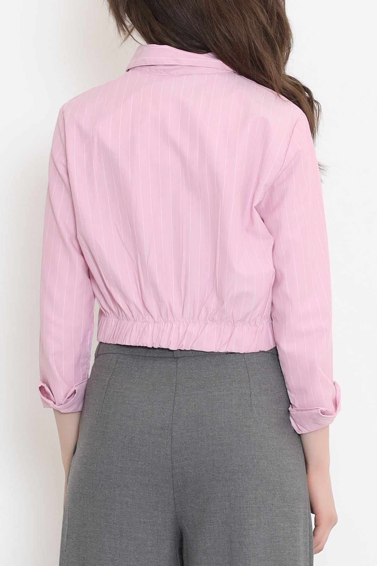 Striped Crop Shirt Pink - 977.1247.