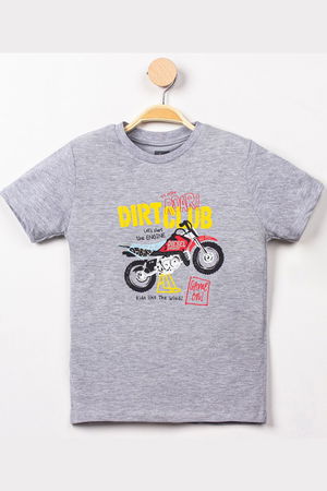 3-7 Years Printed T-Shirt Gray - 224114.1576.