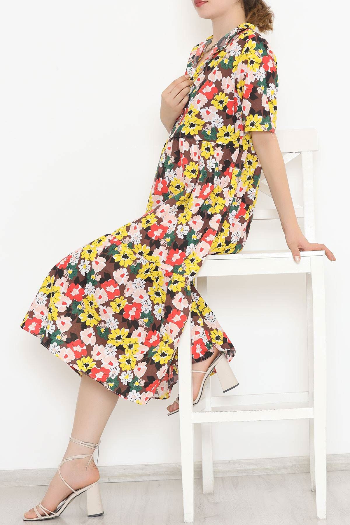 Judge Collar Dress Brown Floral - 11460.701.