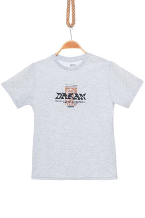 13-16 Years Printed Kids T-Shirt Gray - 424269.1576.