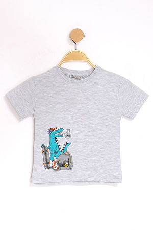 1-4 Years Printed Kids T-Shirt Gray - 124424.1576.