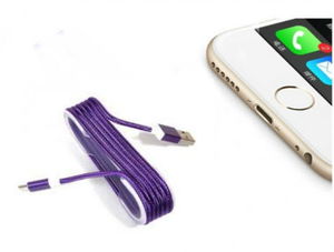 iPhone Braid Shaped Color Steel Charging Data Cable - Purple