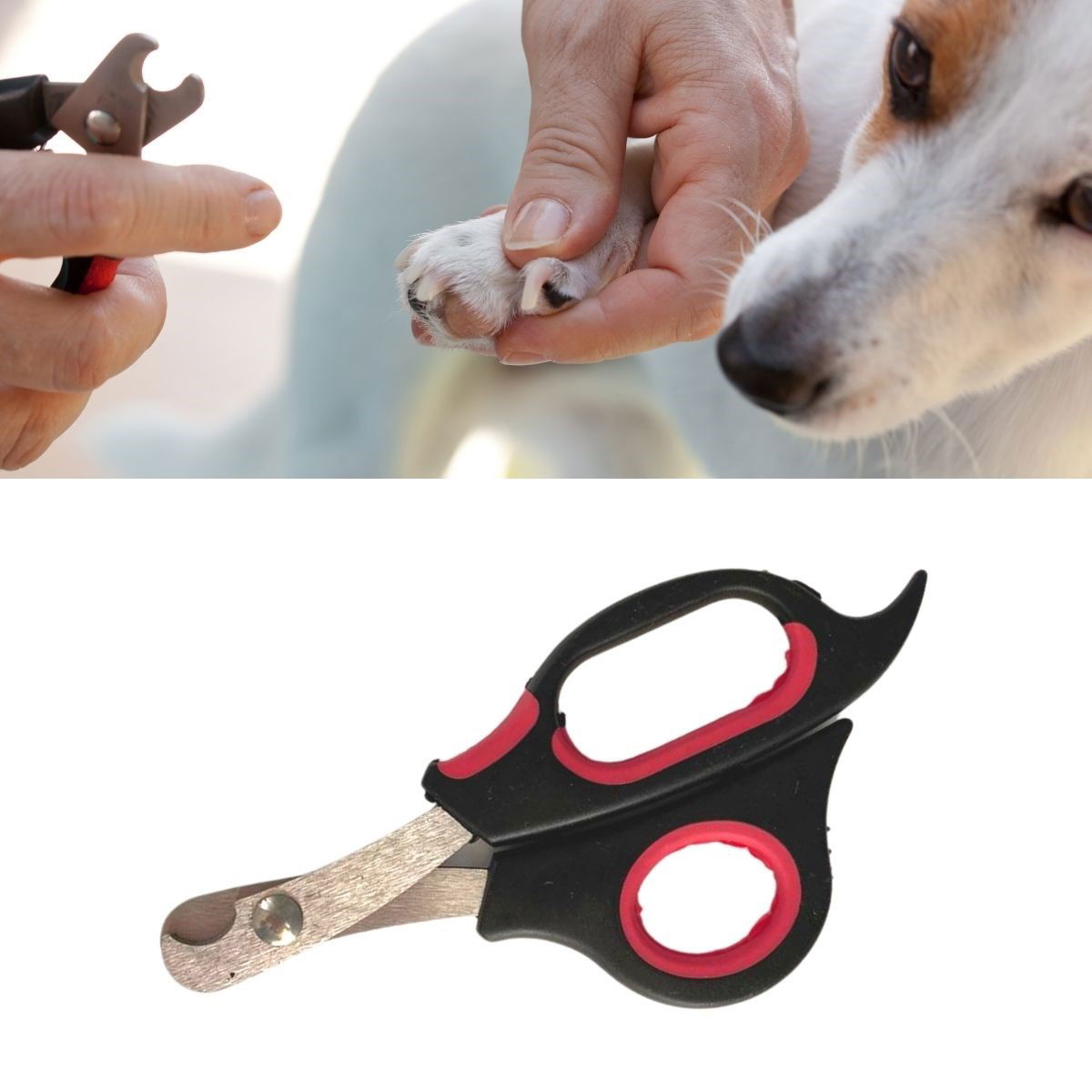 Large Size Pet Dog Cat Steel Tipped Nail Clippers Paw Grooming Tool