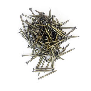 Steel Concrete Nail 2x30 mm (100 pcs)