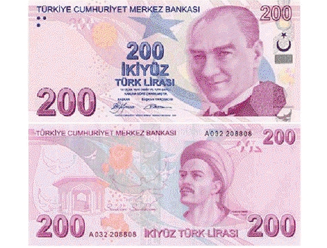 Wedding Money - 100 pieces 200 TL