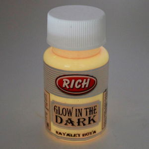 Rich 11295 Orange Glow-in-the-Dark Ghost Paint 50 cc