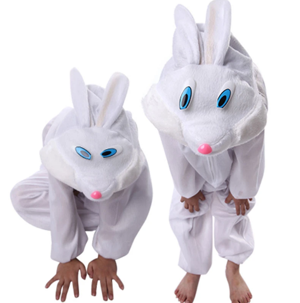 Kids Rabbit Costume White Color 3-5 Years 100 cm