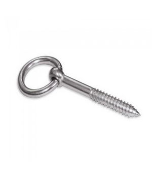 Besel Ring Screw 6 mm