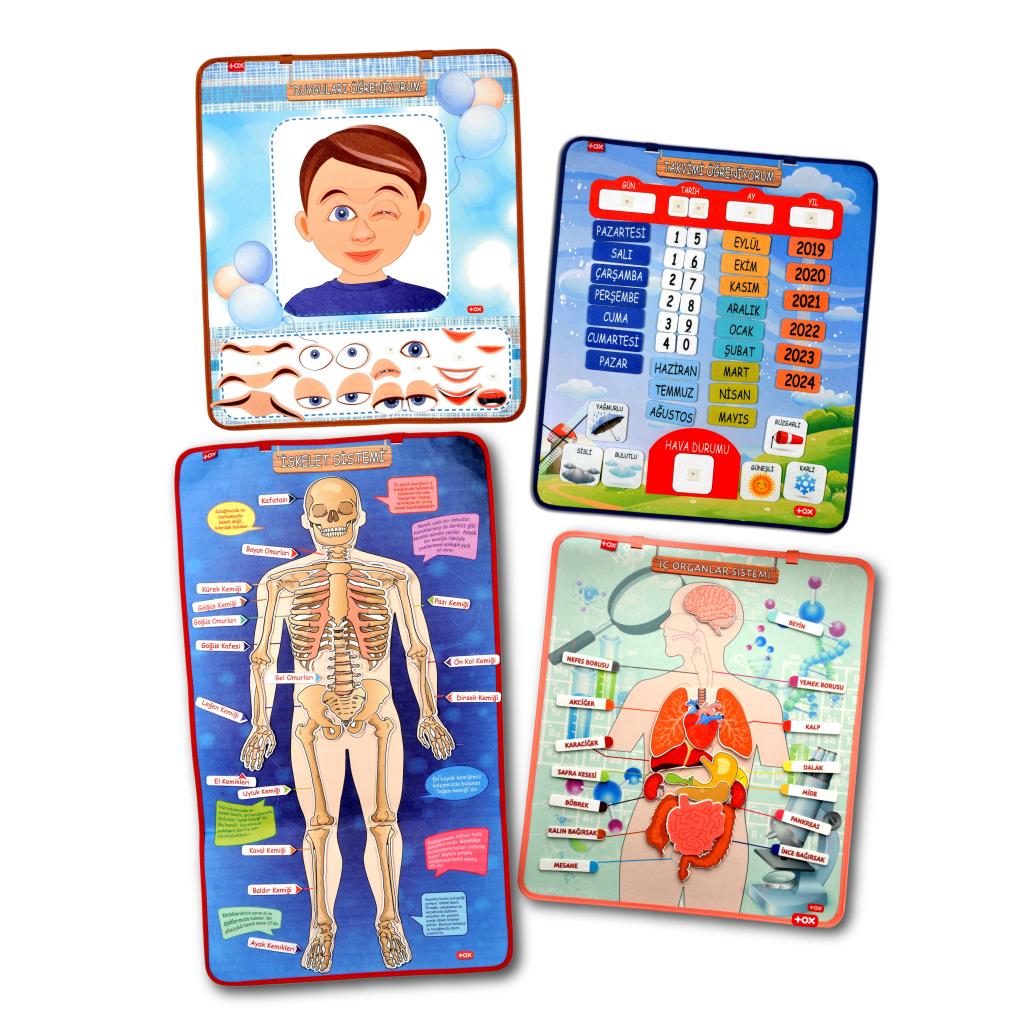 4 Sets of 127 Pieces Skeleton, Internal Organs System, Calendar and Learning Emotions Felt Velcro Wall Boards, Educational Toy