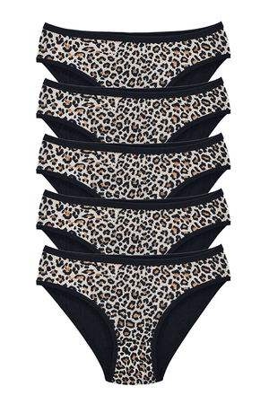 5 Pcs Leopard Print Lycra Soft Textured Women Slip Panties