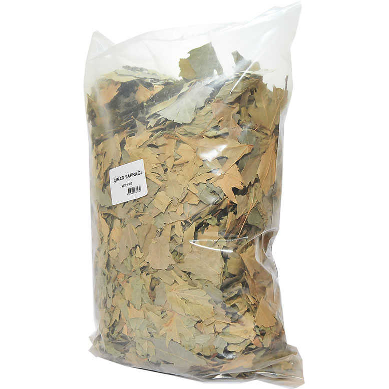 Natural Sycamore Leaves 1000 Gr Package