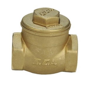 ECA 3/4 Swing Check Valve