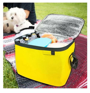 Thermos Bag - Picnic Bag Ice Battery Gift 24LT