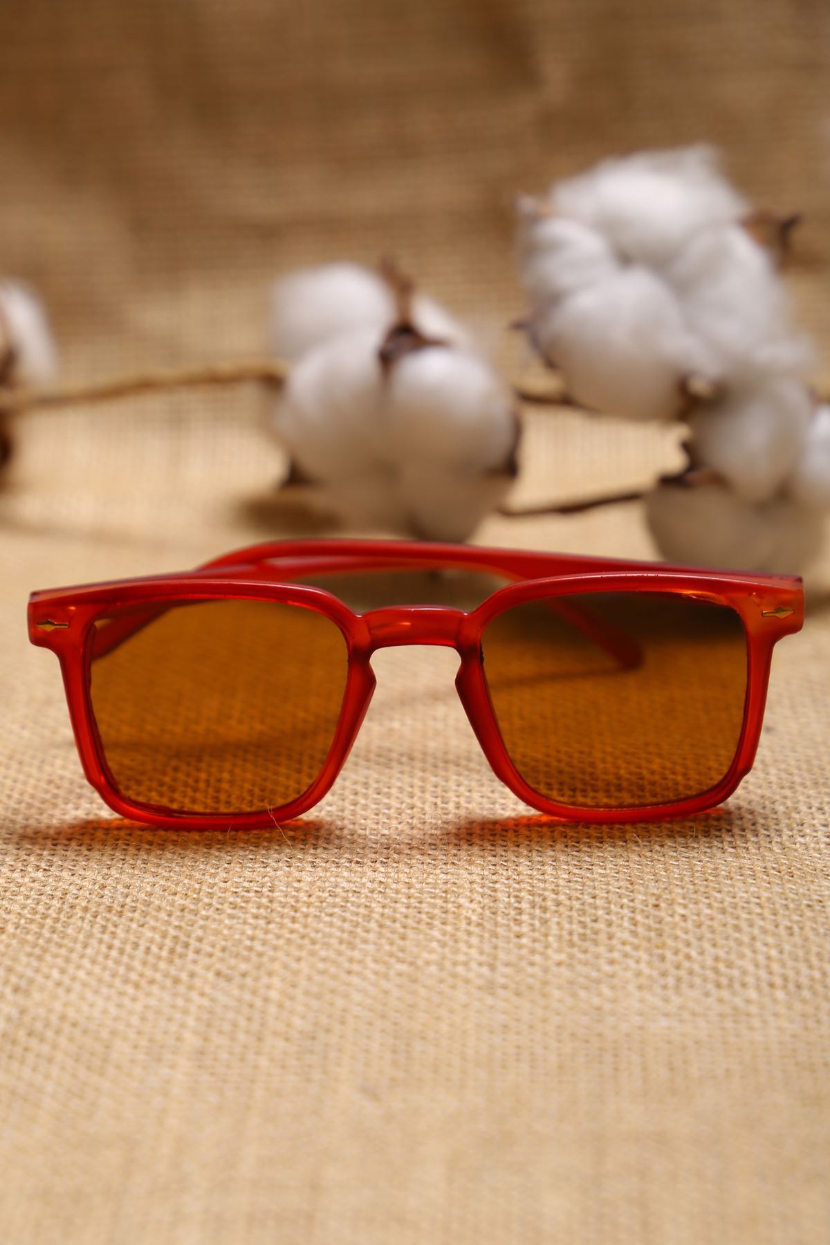 Accessory Glasses Burgundy