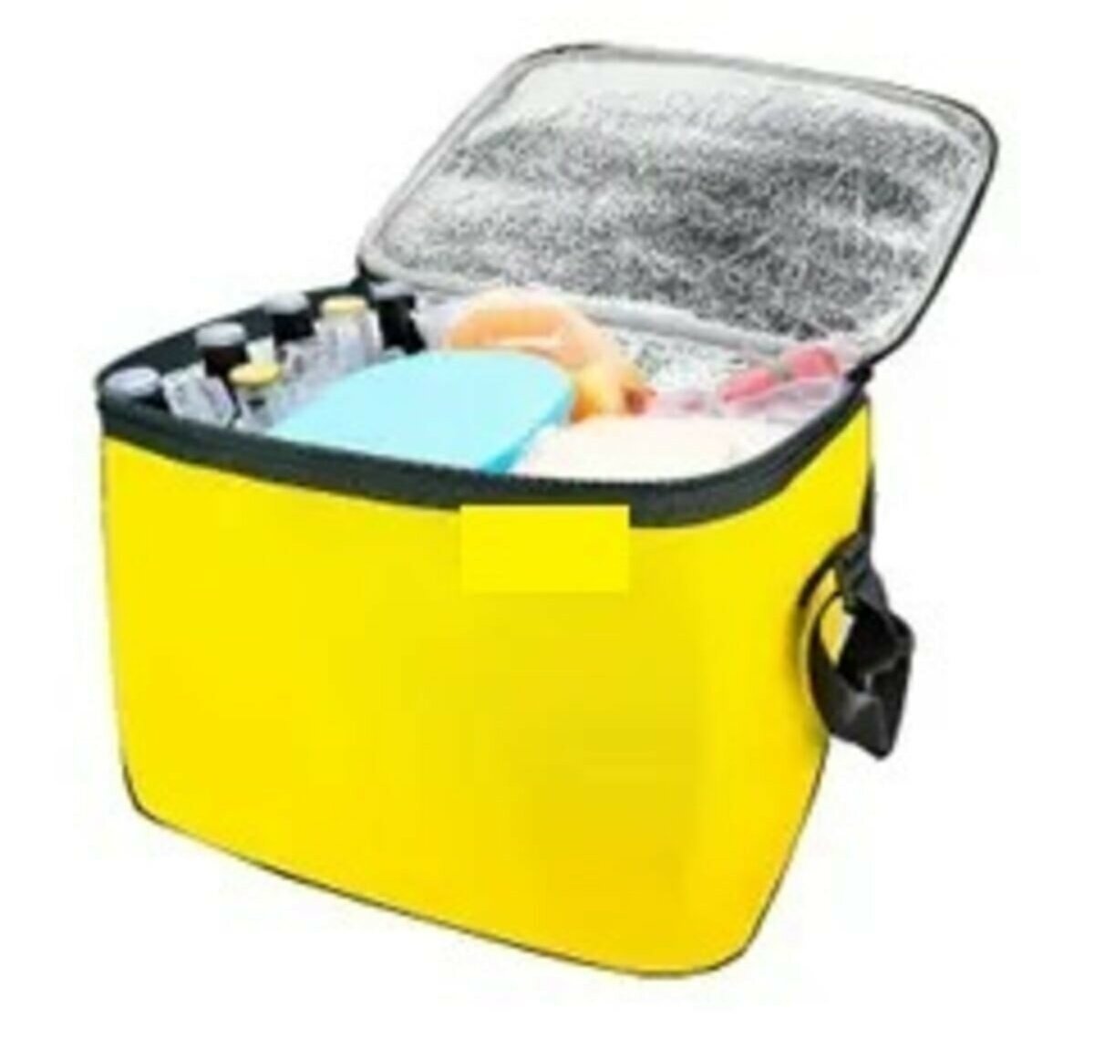 Thermos Bag - Picnic Bag Ice Battery Gift 40LT