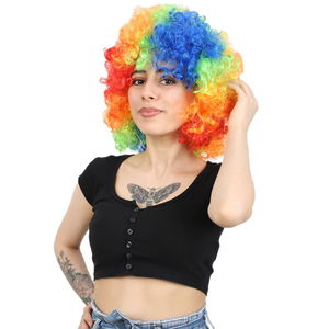 Animation Party And Clown Wig / Colorful