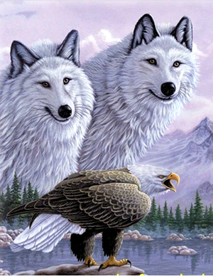 5D Diamond Painting Eagle Wolf Painting 40x60 cm