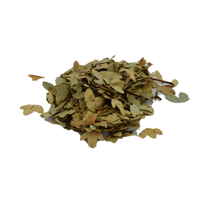 Boxwood Leaf Natural 100 Gr Package