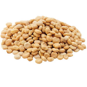 Lupine Seeds Jewish Broad Beans Natural 50 Gr Package