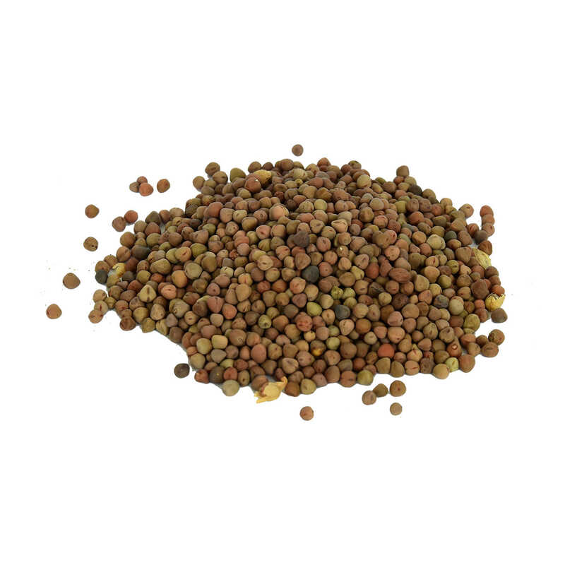 Natural Burçak Seed 100 Gr Package