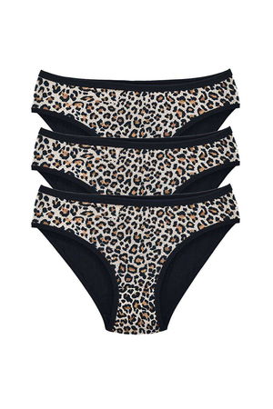 3 Pcs Leopard Print Lycra Soft Textured Women Slip Panties