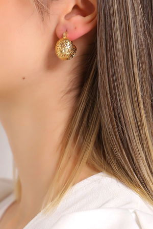 Steel Earrings Gold1