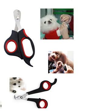 Pet Nail Clippers - Stainless Steel