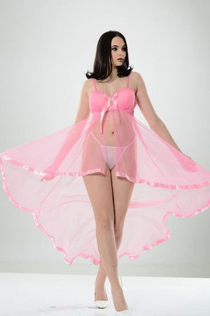 Pink Pet Tulle Chiffon Nightdress