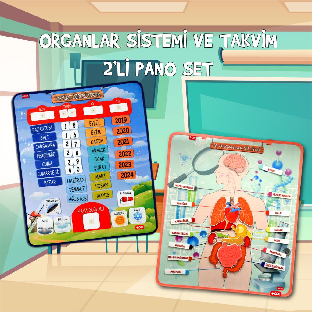 2 Sets - 69 Pieces Learning Internal Organs and Calendar Felt Velcro Wall Boards , Educational Toys