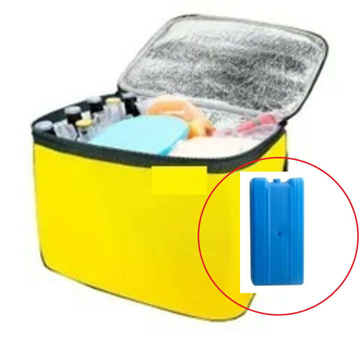 Thermos Bag - Picnic Bag Ice Battery Gift 40LT