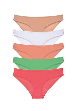 5pcs Super Eco Set Lycra Women Slip Panties Skin White Powder Green Fuchsia