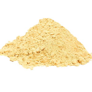 Ginger Root Ground Natural 100 Gr Package