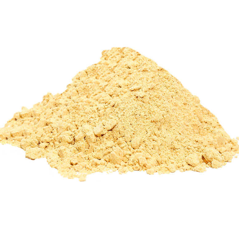 Ginger Root Ground Natural 100 Gr Package