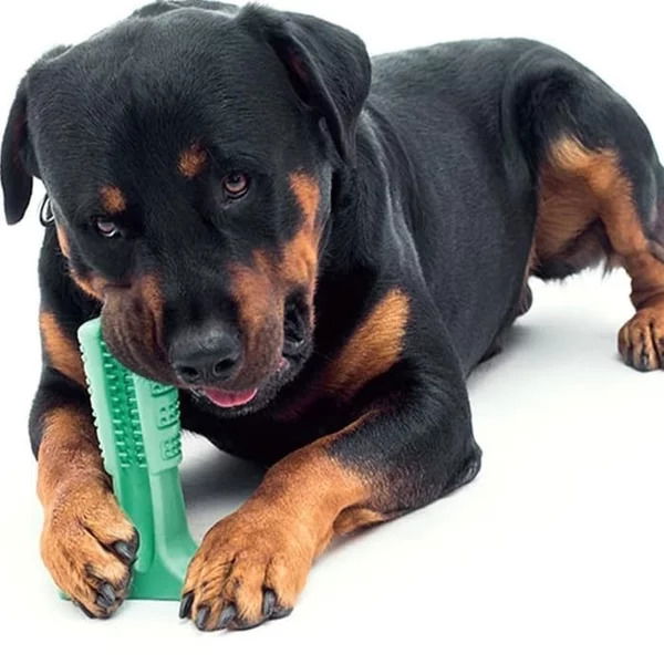 Dog Teeth Cleaner Toy - Biting Tool Stick 15 Cm